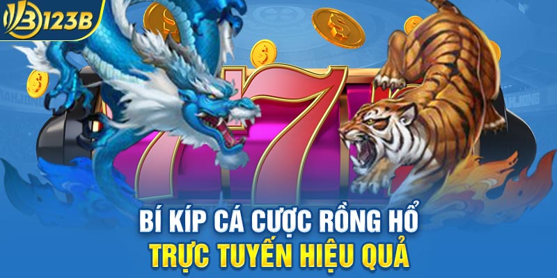 Bí kíp cá cược Rồng Hổ trực tuyến hiệu quả